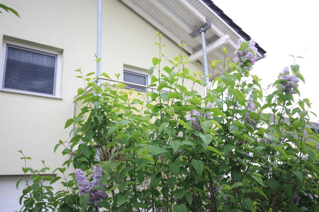 Windjammer Koserow Dış mekan fotoğraf